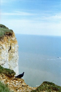 Eastbourne - Beachy Head