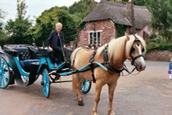 Horse Carriage in Cockington, Devon