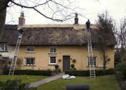 Wrea Green, Lancashire. Thatchers at Work in Wrea Green Village Centre. Wallpaper