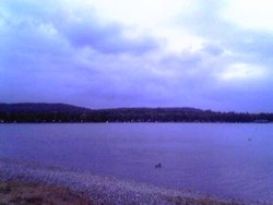 Pine Lake Resort, Lancashire.
I call this picture The Lone Duck