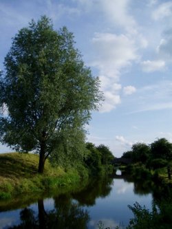 Oxford Canal at Somerton, Oxon.