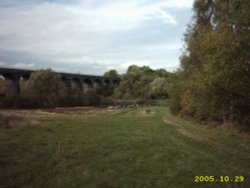 Pony Treking a popular pastime at Reddish Vale, Stockport Wallpaper