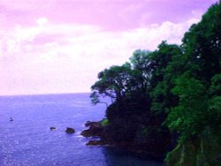 cove at Dartmouth, Devon Wallpaper