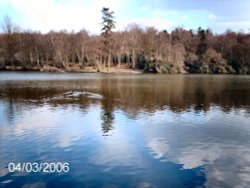 Campbells lake view, Tilgate park, Tilgate, Crawley, West sussex Wallpaper