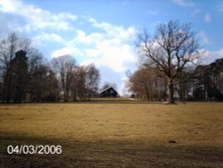 the lawns at tilgate park, tilgate, crawley, west sussex Wallpaper