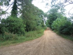 Entering Shotover Country Park from the village of Wheatley, Oxfordshire. Wallpaper