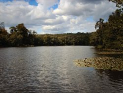 view of slaugham lake, slaugham, west sussex.