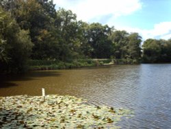 view of slaugham lake, slaugham, west sussex.