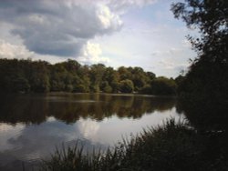 view of slaugham lake, slaugham, west sussex.