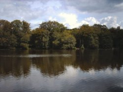 view of slaugham lake, slaugham, west sussex.