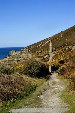 Near Trevellas, Cornwall. April 2006