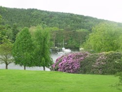 Fell Foot Park, Windermere, The Lake District Wallpaper