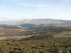 Berwyn Ridge seen from Foel Cwm Sian Llwyd, Llangynog.