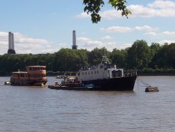River Thames - viewed from Chelsea Embankment Wallpaper