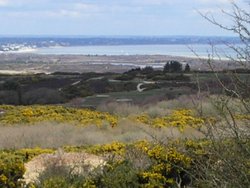 Looking towards Poole Bay across Studland, Dorset Wallpaper