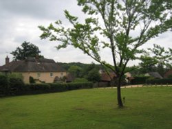 Bramshaw, Hampshire Wallpaper