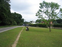 Bramshaw, Hampshire Wallpaper