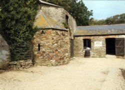 Callestock Cider Farm, Penhallow, Cornwall. 1996.