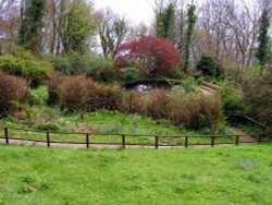 Looe Monkey Sanctuary, Cornwall. April 2005 Wallpaper