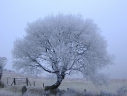 Fits well, Okehampton, Dartmoor