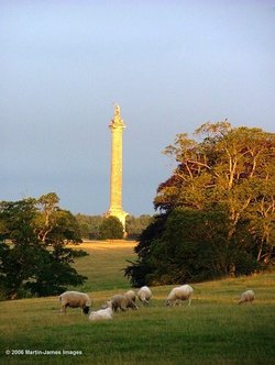 Blenheim Park,Woodstock, Oxfordshire. Marlborough column at dawn