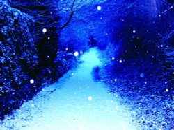 Fischer Lane. . old lane leading up to the italian gardens just newly opened (Alnwick Gardens) Wallpaper