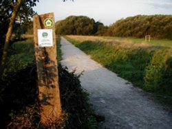 Kingsbury water park in the morning Wallpaper