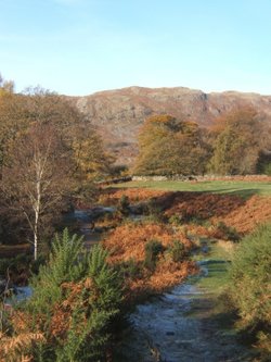 Eskdale valley scene. Eskdale, Cumbria