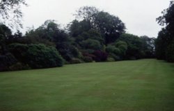 A picture of Trewithen Gardens - Cornwall