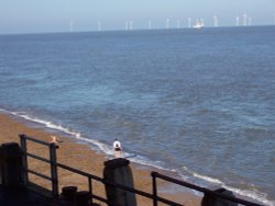 Windmills in the North Sea picture taken from the Britannia Pier, Gt. Yarmouth, Norfolk