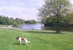 Hemlington Lake, situated on the Southern outskirts of Middlesbrough Wallpaper