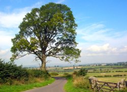 country road just outside Rothbury, Northumberland. Wallpaper
