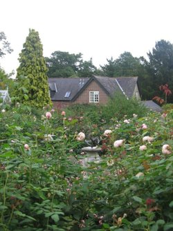 Borde Hill Garden, West Sussex