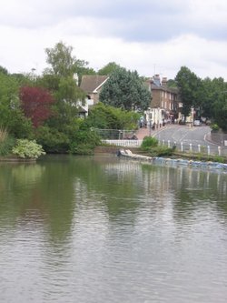 Lindfield