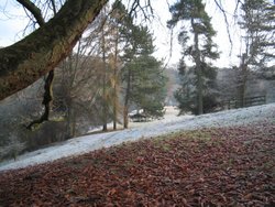 Bishops Park,Bishop Auckland,Durham