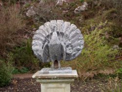 Powis castle and gardens.