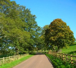 Country road at Abberwick,
Alnwick, Northumberland.
