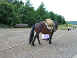 A picture of Beamish Open Air Museum - Beamish - County Durham - England Wallpaper