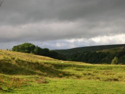 A picture of Teesdale - County Durham - England