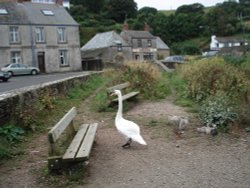 Slapton Sands, Devon