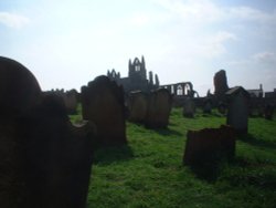 Whitby graveyard & abbey