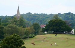 Boltons Bench, Lyndhurst, Hampshire