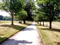 Pathway from Wollaton hall, leading to the lake, Wollaton hall, Wollaton, Nottinghamshire. Wallpaper