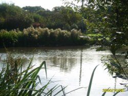 Village pond at East Runton, Norfolk Wallpaper