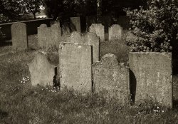 Ancient gravestones in Edwinstowe Churchyard, Nottinghamshire. Wallpaper