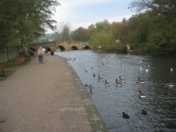 River Wye in Bakewell, Derbyshire Wallpaper