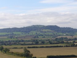 A picture of Alderton Wallpaper