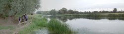 River Nene, Nene Park Wallpaper