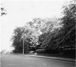 Prestwich; trunk road A56 - bury new road - at 'oakhill' in 1959