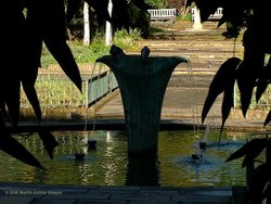 A picture of Holland Park
